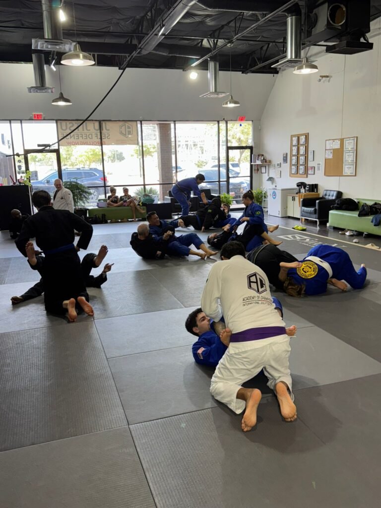 jiu jitsu classes near me